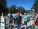 Waiting for the moo-bus