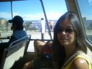 On the moo-bus