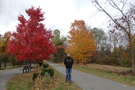 Ashuwillticook Rail Trail