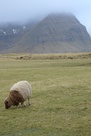 Viðoy, Faroe Islands 